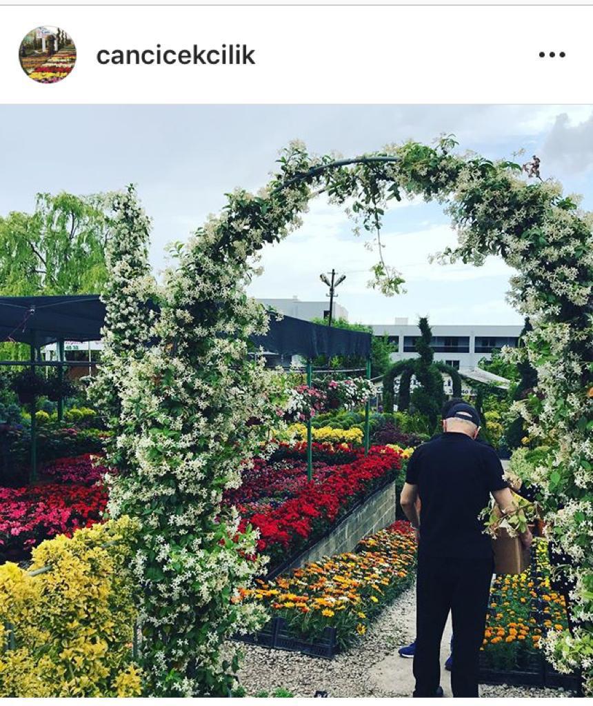 Park ve Bahçe Bakımı