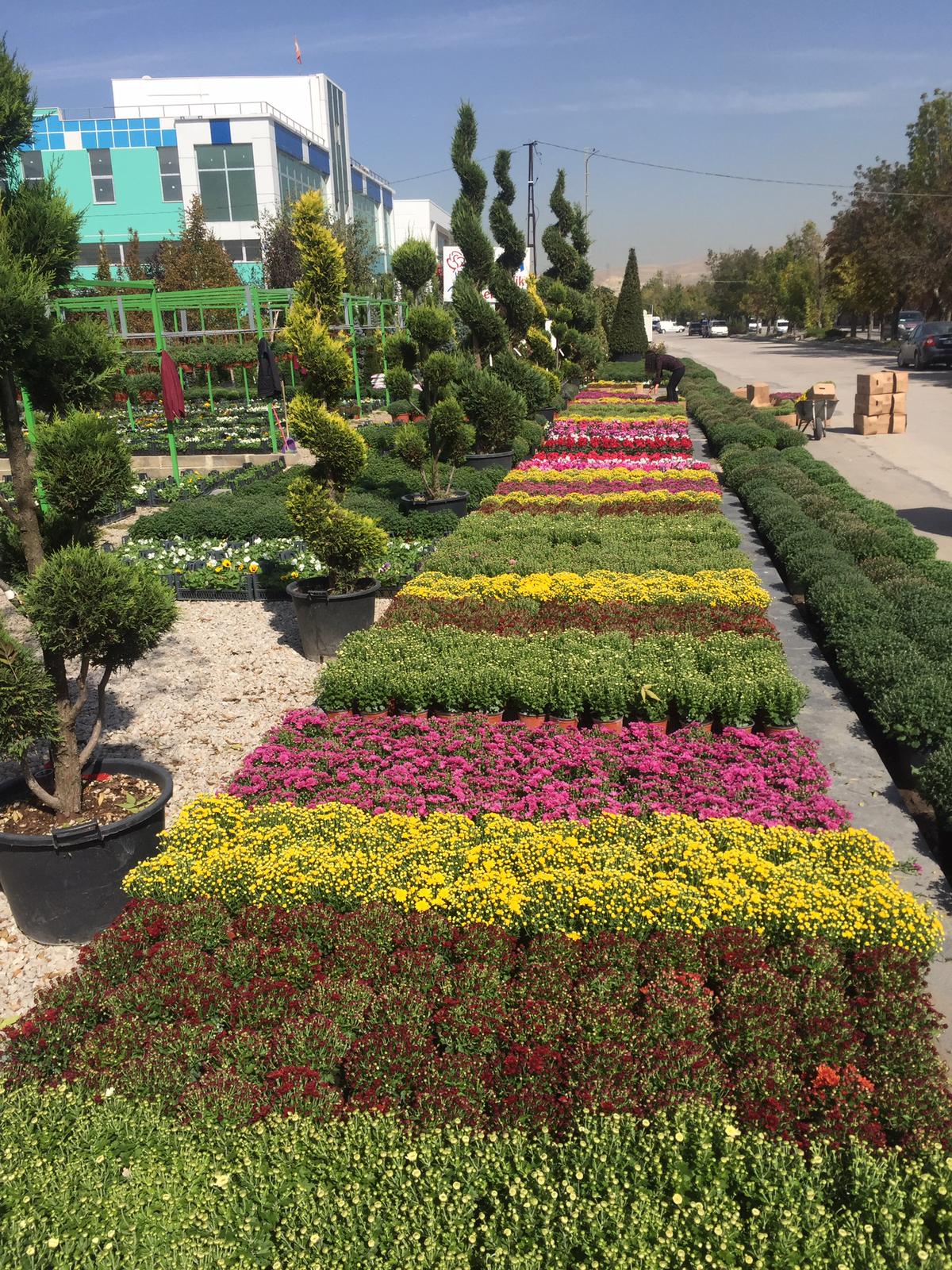 Fidanlığımızdan Kareler