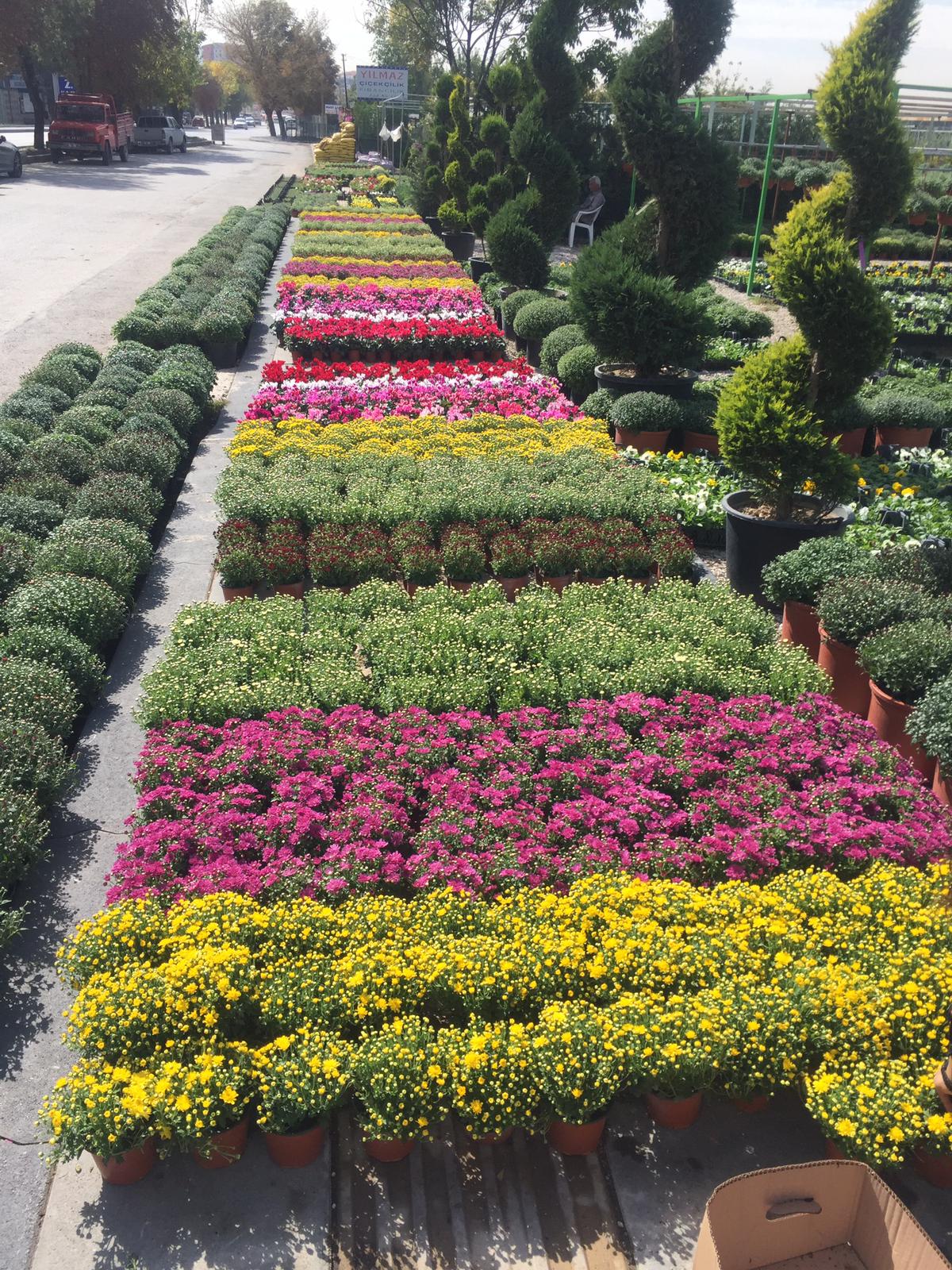 Can Çiçekçilik Çalışma