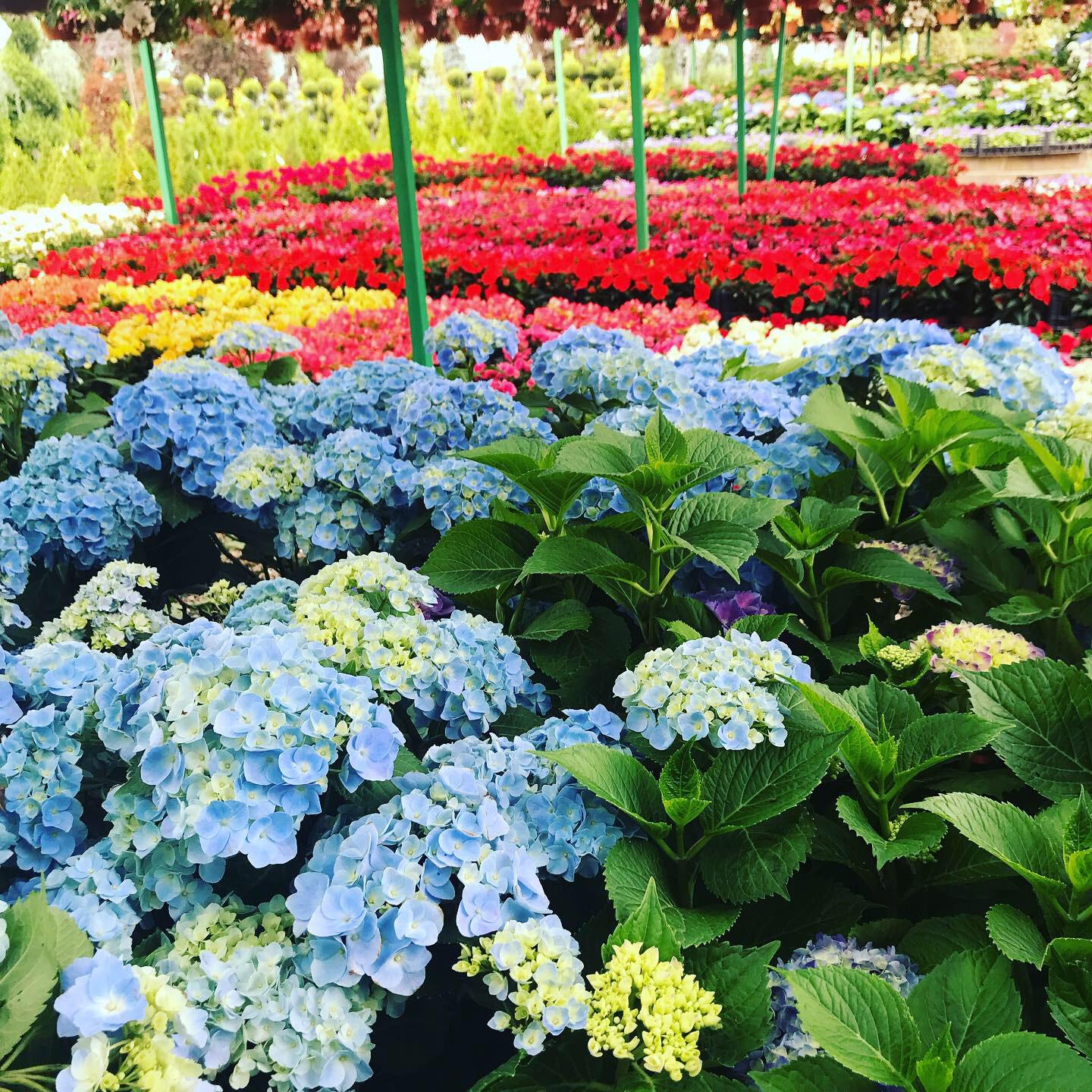 Bahçe Aydınlatması