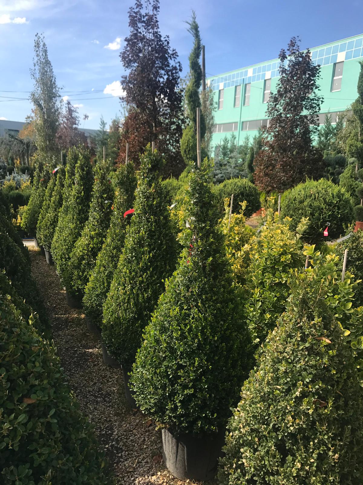 Site Ortak Yaşam Alanı